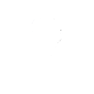 Logo Sandrine Bourguet